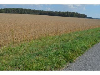 Property photo 53 - REAL ESTATE AUCTION - 604+/- ACRES IN 14 TRACTS IN MERCER CO., OHIO